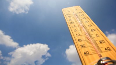 Живакът чукна 43° на сянка 