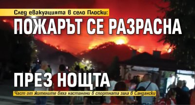 След евакуацията в село Плоски: Пожарът се разрасна през нощта