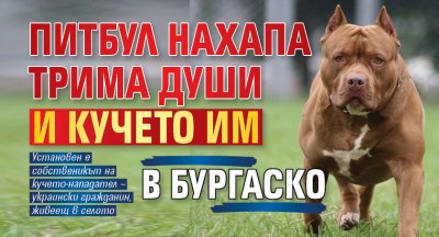 Питбул нахапа трима души и кучето им в Бургаско