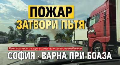 Пожар затвори пътя София - Варна при Боаза