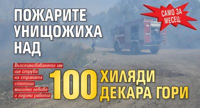 Само за месец: Пожарите унищожиха над 100 хиляди декара гори 