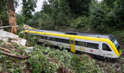 Влак с над 200 пътници се блъсна в дърво в Германия