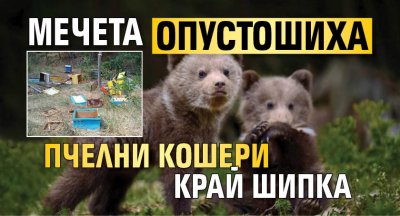 Мечета опустошиха пчелни кошери край Шипка