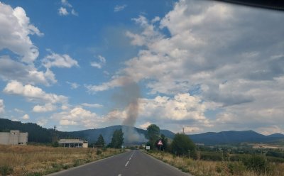 Пожар пламна в Трънско