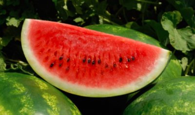 Изкуствен интелект избира вместо нас най-сочната и вкусна диня