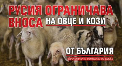 Русия ограничава вноса на овце и кози от България