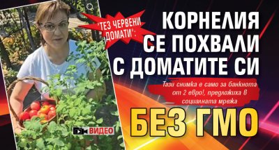 Тез червени домати: Корнелия се похвали с доматите си без ГМО (ВИДЕО)