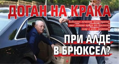 Доган на крака при АЛДЕ в Брюксел? 