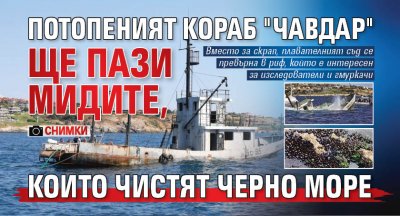 Потопеният кораб "Чавдар" ще пази мидите, които чистят Черно море (СНИМКИ)