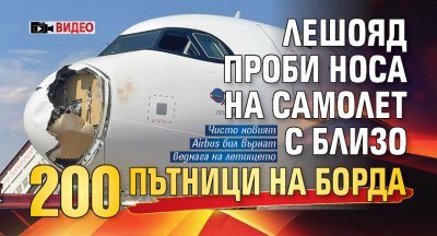 Лешояд проби носа на самолет с близо 200 пътници на борда (ВИДЕО)