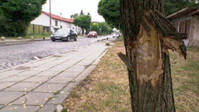 Седми ден 15-годишно момче се бори за живота си, пометено от 20-годишен шофьор