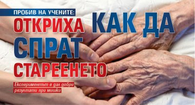 ПРОБИВ НА УЧЕНИТЕ: Откриха как да спрат стареенето