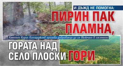 И ДЪЖД НЕ ПОМОГНА: Пирин пак пламна, гората над село Плоски гори