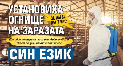 За първи път у нас: Установиха огнище на заразата син език