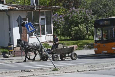 Млада шофьорка потроши каруцар край Варна, борят се за живота му