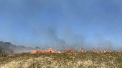 Пожар избухна край Банкя