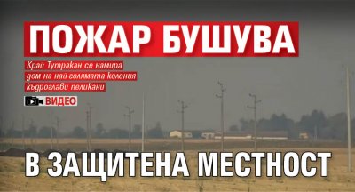Пожар бушува в защитена местност (ВИДЕО)