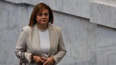Нинова: Бизнесът се стяга за война с правителството