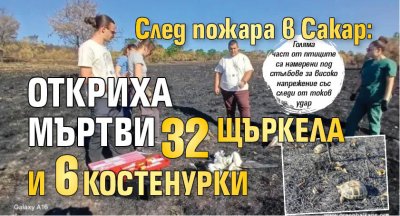 След пожара в Сакар: Откриха мъртви 32 щъркела и 6 костенурки (СНИМКИ)