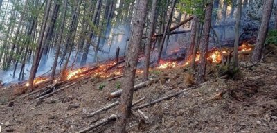 Задържаха мъж за умишлено предизвикване на пожар край Габрово