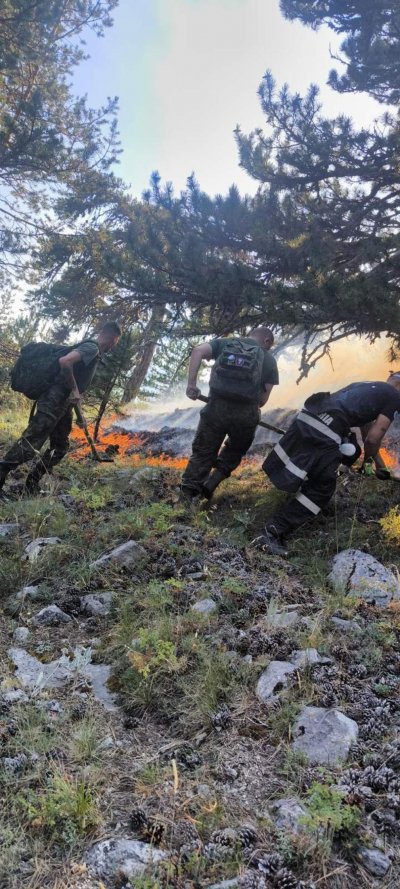 Пожарът над Илинденци навлезе в Национален парк „Пирин“