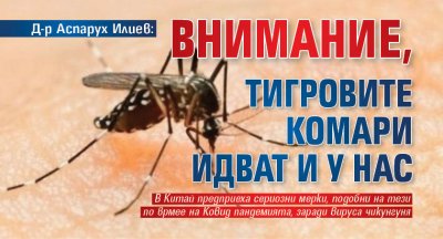 Д-р Аспарух Илиев: Внимание, тигровите комари идват и у нас