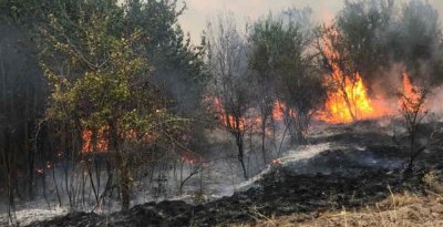 Пирин отново пламна, огнищата са три