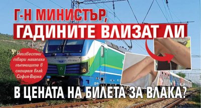 Г-н министър, гадините влизат ли в цената на билета за влака?