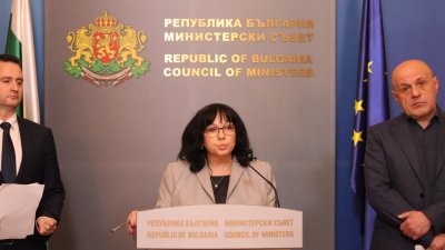 Теменужка Петкова: На слаб президент еврото му е виновно