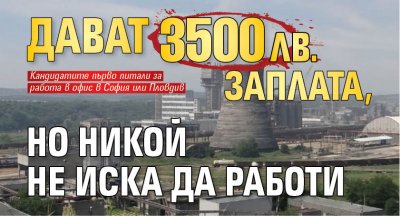 Дават 3500 лв. заплата, но никой не иска да работи 