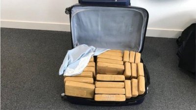 35 кг канабис бяха задържани на летището във Виена