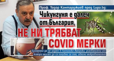 Проф. Тодор Кантарджиев пред Lupa.bg: Чикунгуня е далеч от България, не ни трябват COVID мерки