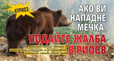 Куриоз: Ако ви нападне мечка, подайте жалба в РИОСВ 