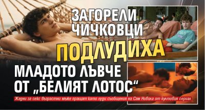 Загорели чичковци подлудиха младото лъвче от „Белият лотос“