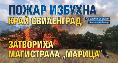 Пожар избухна край Свиленград, затвориха магистрала „Марица“