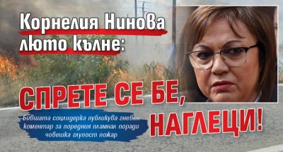 Корнелия Нинова люто кълне: Спрете се бе, наглеци!