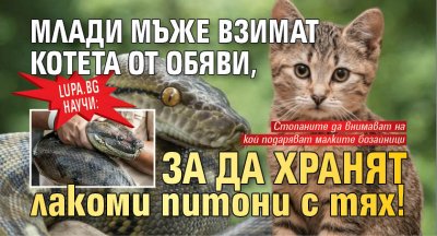 Lupa.bg научи: Млади мъже взимат котета от обяви, за да хранят лакоми питони с тях!