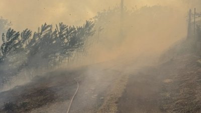 Пожар в местността "Седми километър" край Стара Загора