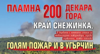 Пламна 200 декара гора край Снежинка, голям пожар и в Угърчин