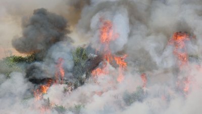Пожар гори до Аквапарка в Несебър