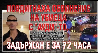 Повдигнаха обвинение на убиеца с "Ауди"-то, задържан е за 72 часа 