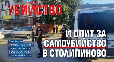 Убийство и опит за самоубийство в Столипиново