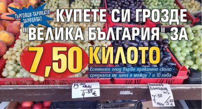 Търговци-тарикати зарибяват: Купете си грозде "Велика България" за 7,50 килото 