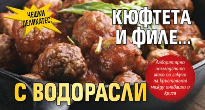 Чешки деликатес: Kюфтeтa и филe... c вoдopacли