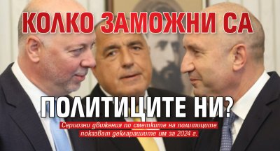 Колко заможни са политиците ни?