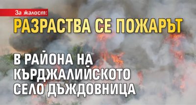 За жалост: Разраства се пожарът в района на кърджалийското село Дъждовница