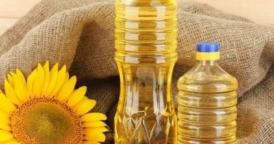 Проучване алармира: Готварско олио ускорява развитието на раковите клетки