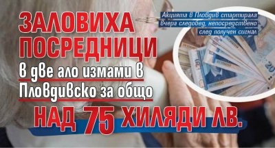 Заловиха посредници в две ало измами в Пловдивско за общо над 75 хиляди лв.