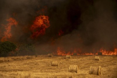 400 000 хектара земя изпепелиха пожарите в Испания 