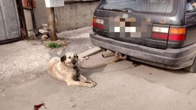 Изверг върза куче за колата си, влачи го по улиците 